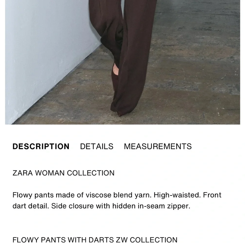Zara NWT dart pleated brown pants